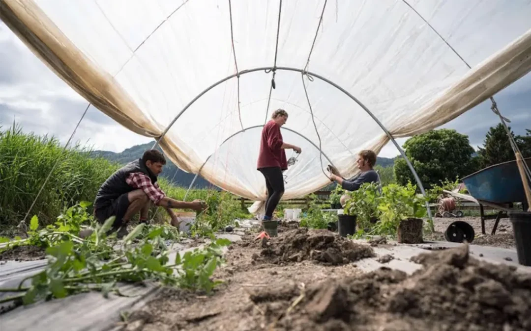 Ready for Less Screen Time and More Nature Time? Try WWOOFing.