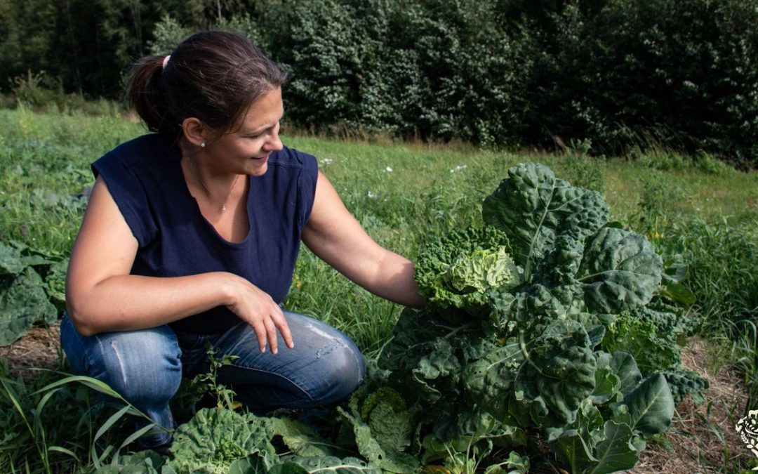 Farm with organic cultivation in permanent beds
